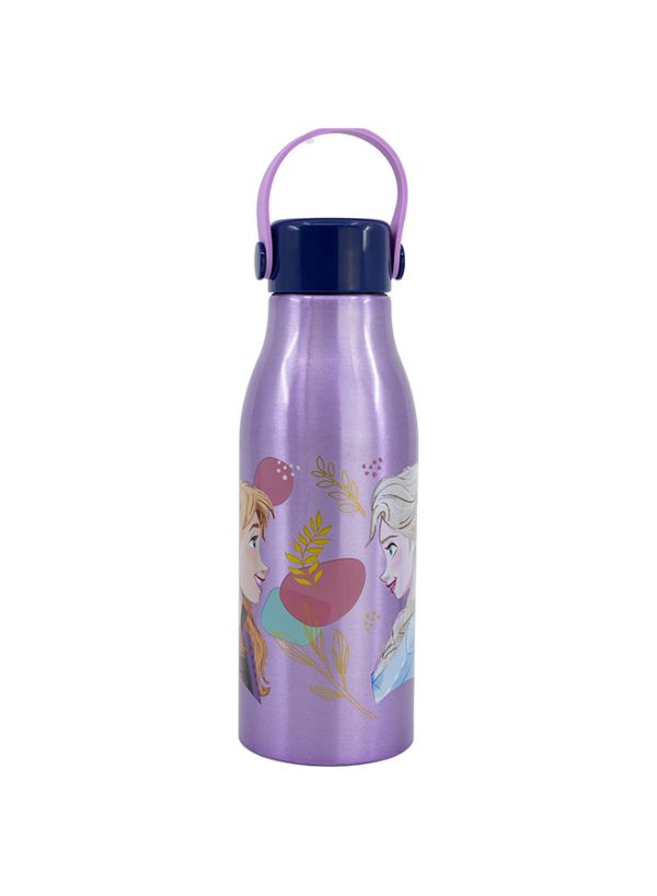 STOR FLEXI HANDLE ALUMINIUM BOTTLE 760 ML FROZEN TRUST THE JOURNEY