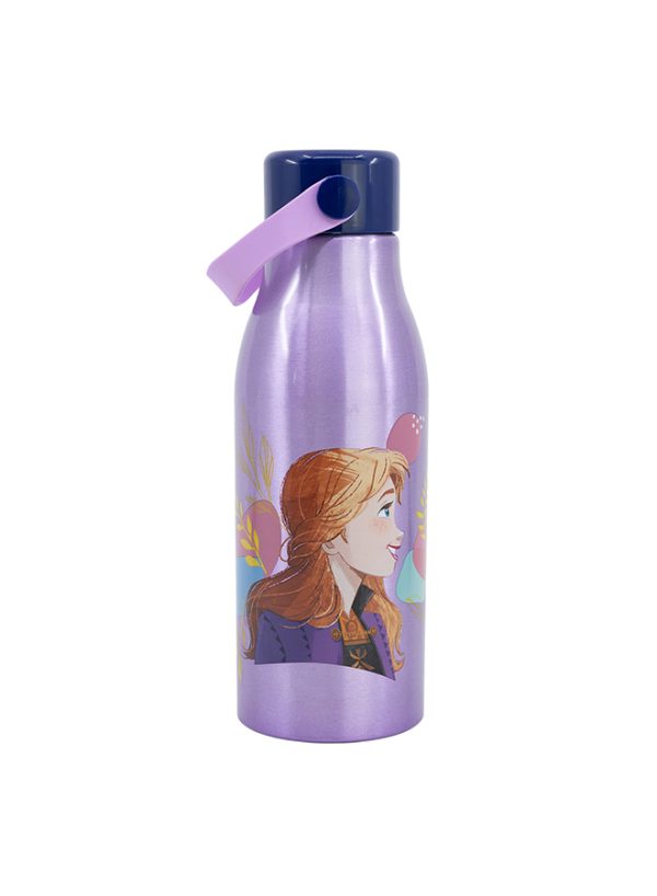 STOR FLEXI HANDLE ALUMINIUM BOTTLE 760 ML FROZEN TRUST THE JOURNEY - Image 2