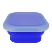 Lexngo Silicone Collapsible Flexi Box Medium Blue